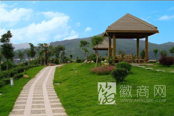 綠意盎然 安徽開源園林綠化工程的發(fā)展與實(shí)踐